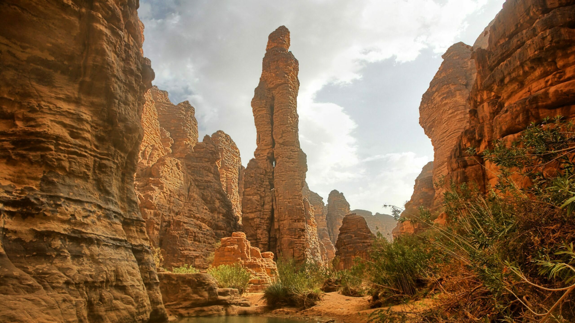Oasis and rock formations in the Djanet region